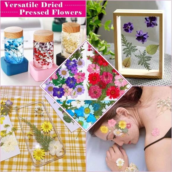 100Pcs Dried Pressed Flowers for Resin Crafts, Small Dried Flower Natural Herbs - Picture 2 of 8
